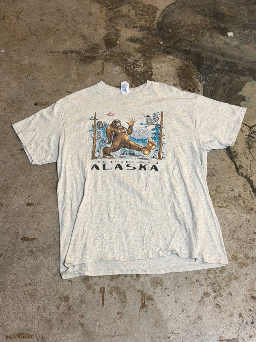 Delta Pro Weight graphic t-shirt Alaska design grey XL