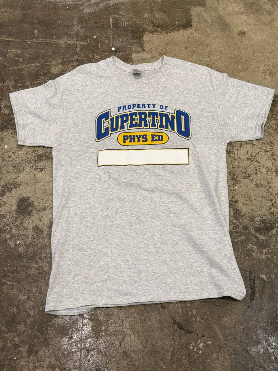 Gildan T-Shirt Cupertino Phys Ed graphic grey M