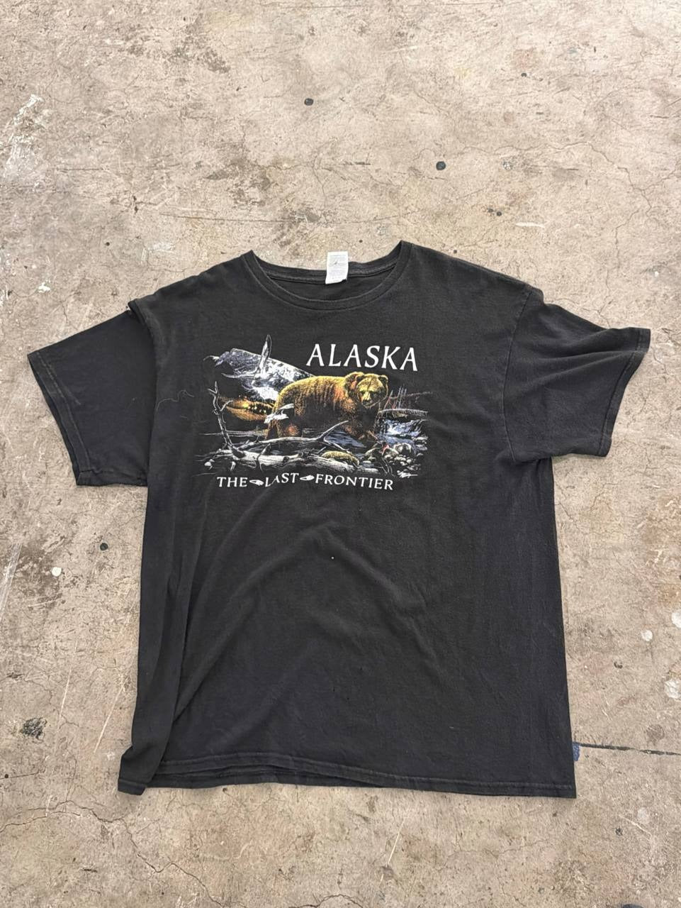 Delta Pro Weight graphic t-shirt Alaska bear design black XL