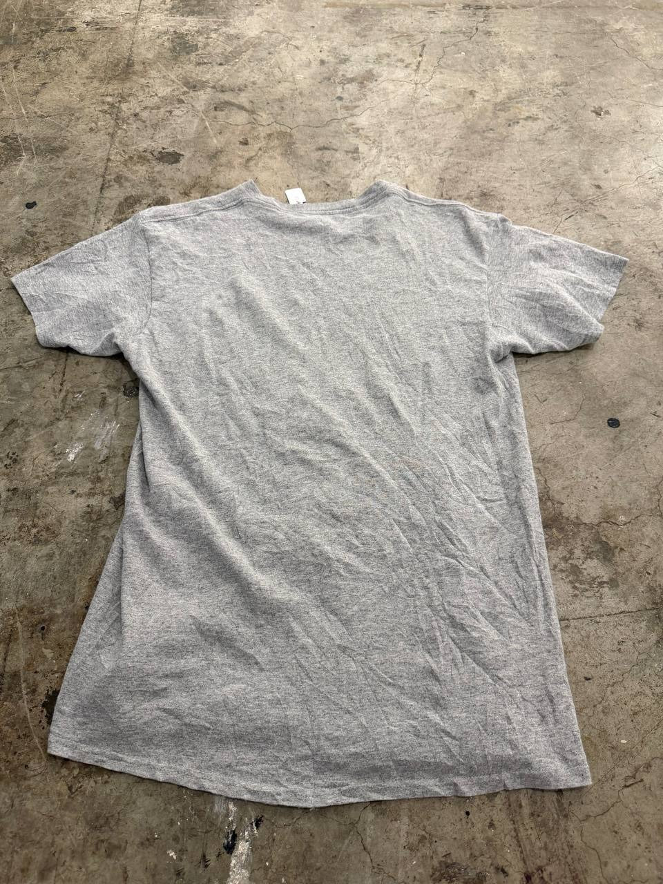 Mount Vernon graphic t-shirt grey