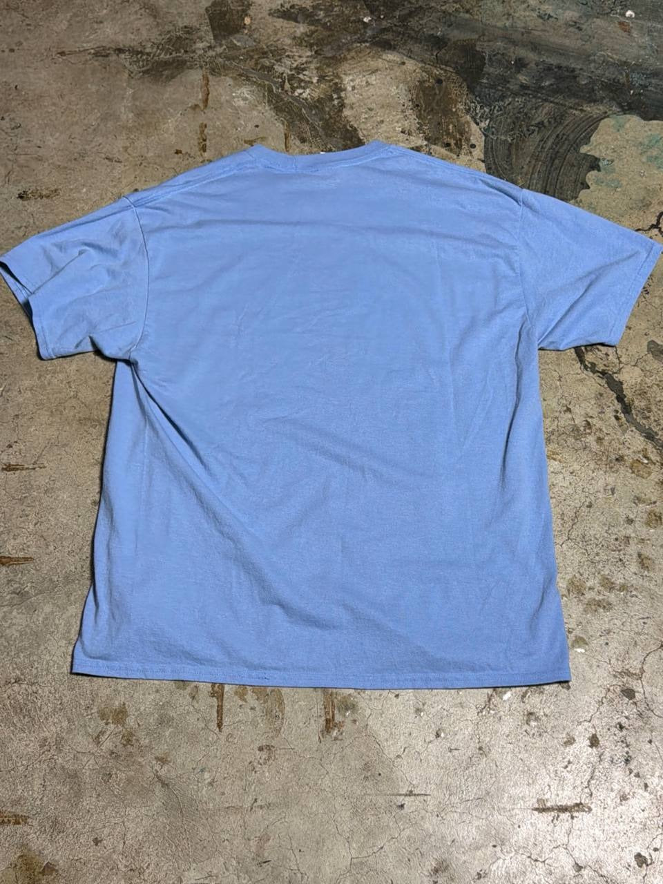 Port & Co graphic t-shirt Mustangs Spring Track & Field light blue XL