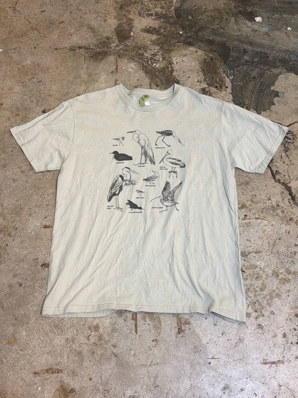 Econscious graphic t-shirt bird illustrations light green XL