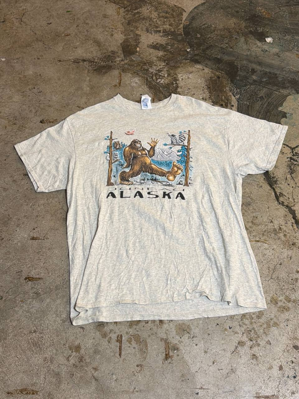 Delta Pro Weight graphic t-shirt Alaska design grey XL