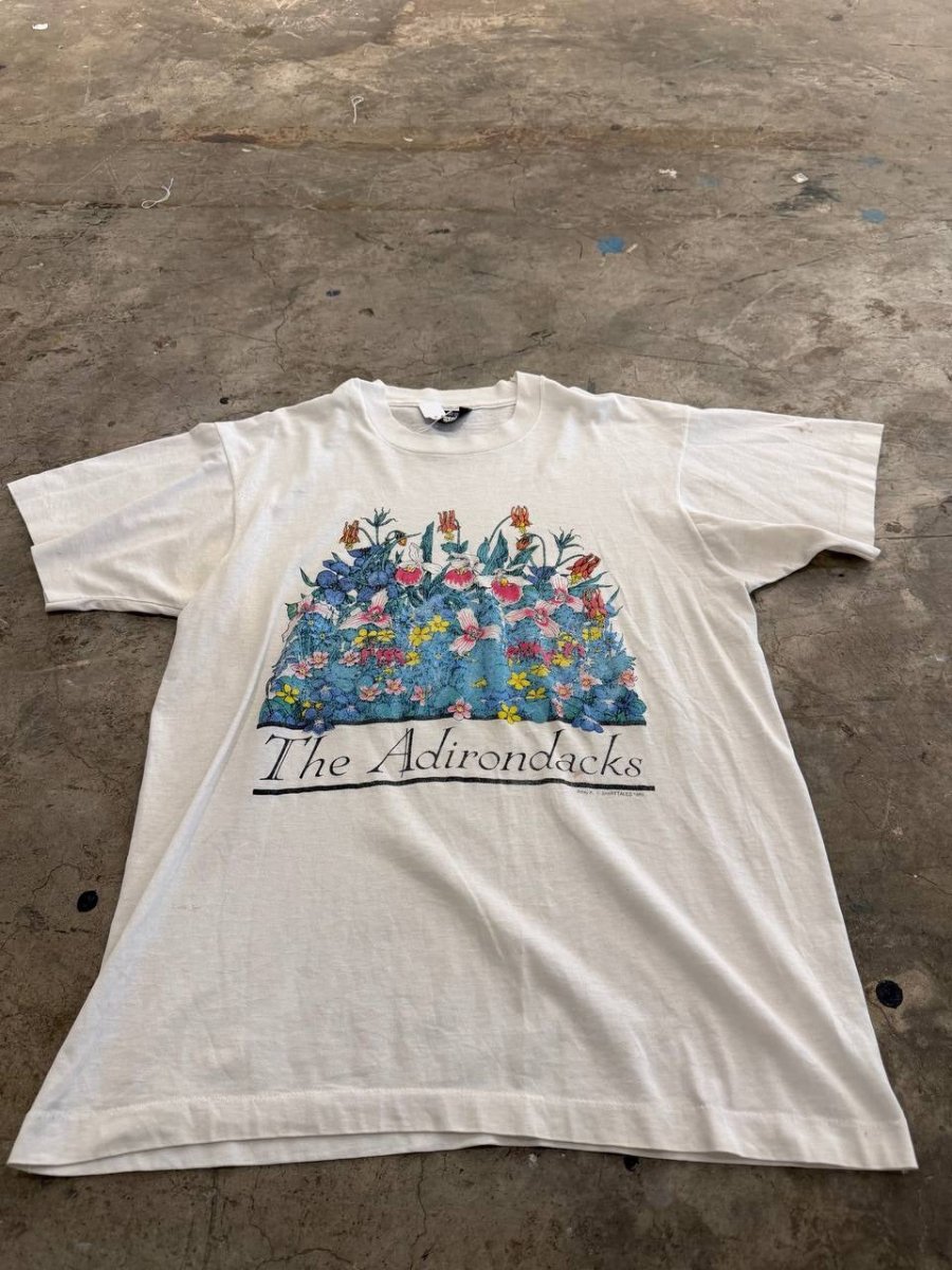 Screen Stars Best Graphic T-Shirt Adirondacks White L